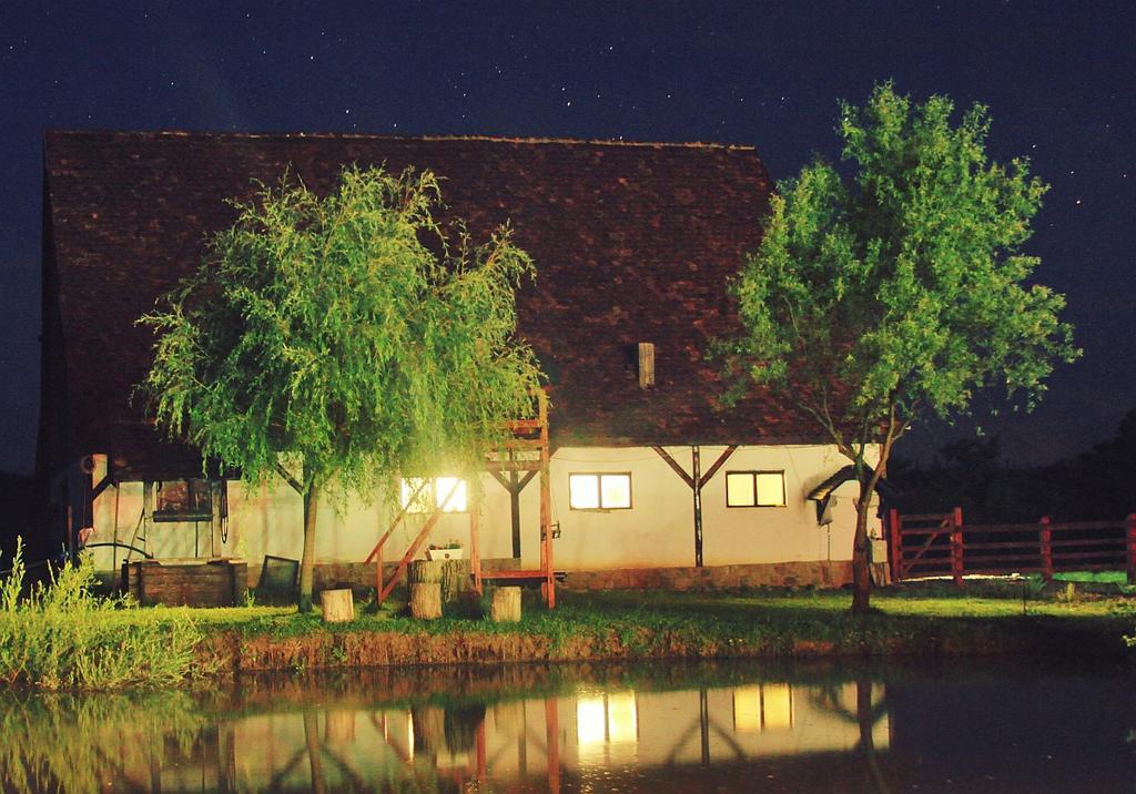 Pensiunea Violeta Saschiz Dış mekan fotoğraf
