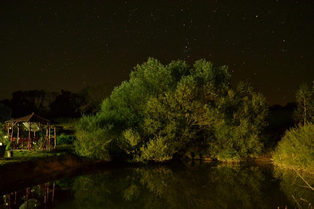 Pensiunea Violeta Saschiz Dış mekan fotoğraf